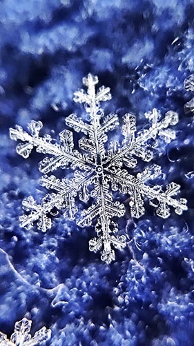 🔱事件・いじめ問題・社会問題・相談事など🔱