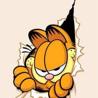 加菲喵喵