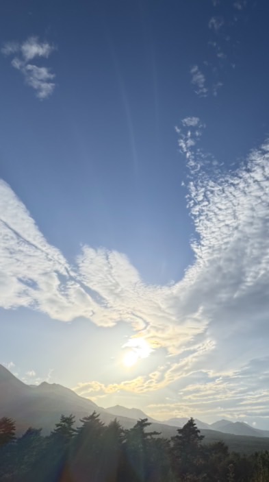 🕊️会員の広場🕊️いのちを耕す会