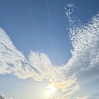 🕊️会員の広場🕊️いのちを耕す会