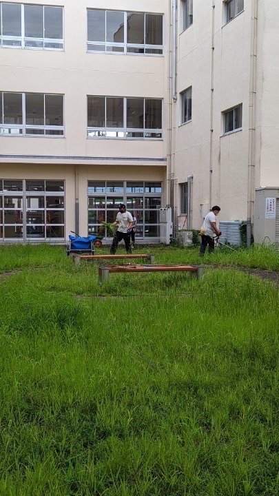 草刈り活動