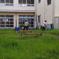 草刈り活動