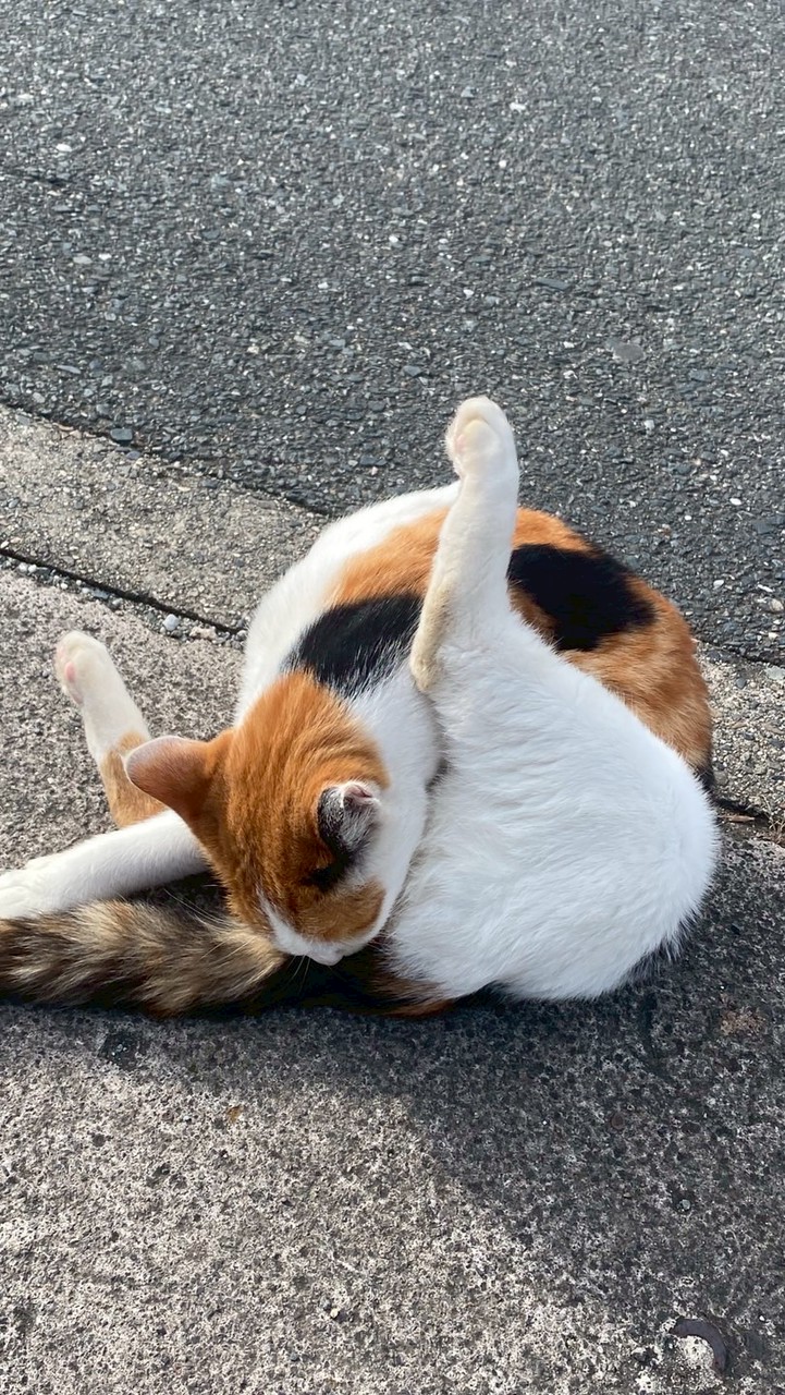 静かな場