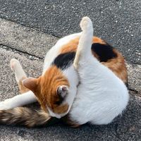 静かな場