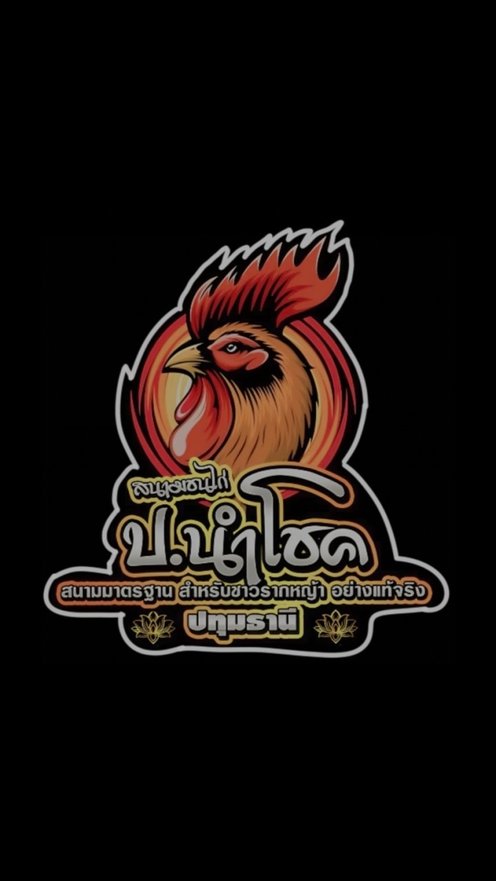 สนามชนไก่ ป.นำโชค new