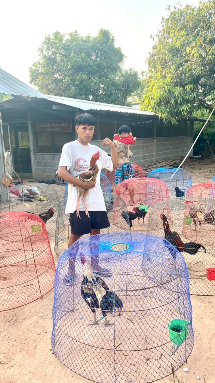 Fc บัวลายทีม🐓