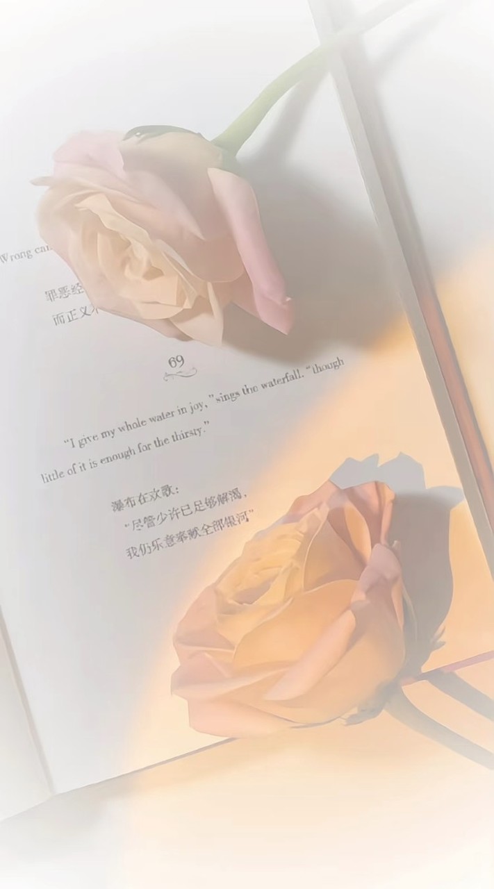 ☆₊⁺꒰১ 『楀』 光 微 嵐 ໒꒱ ₊⁺★