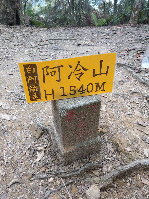 台中和平 太清宮上阿冷山 健行筆記 Line Today