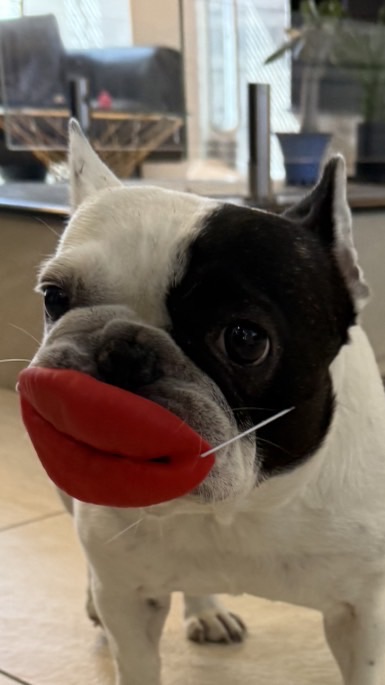 みのりん🍑ファミリーroom💪