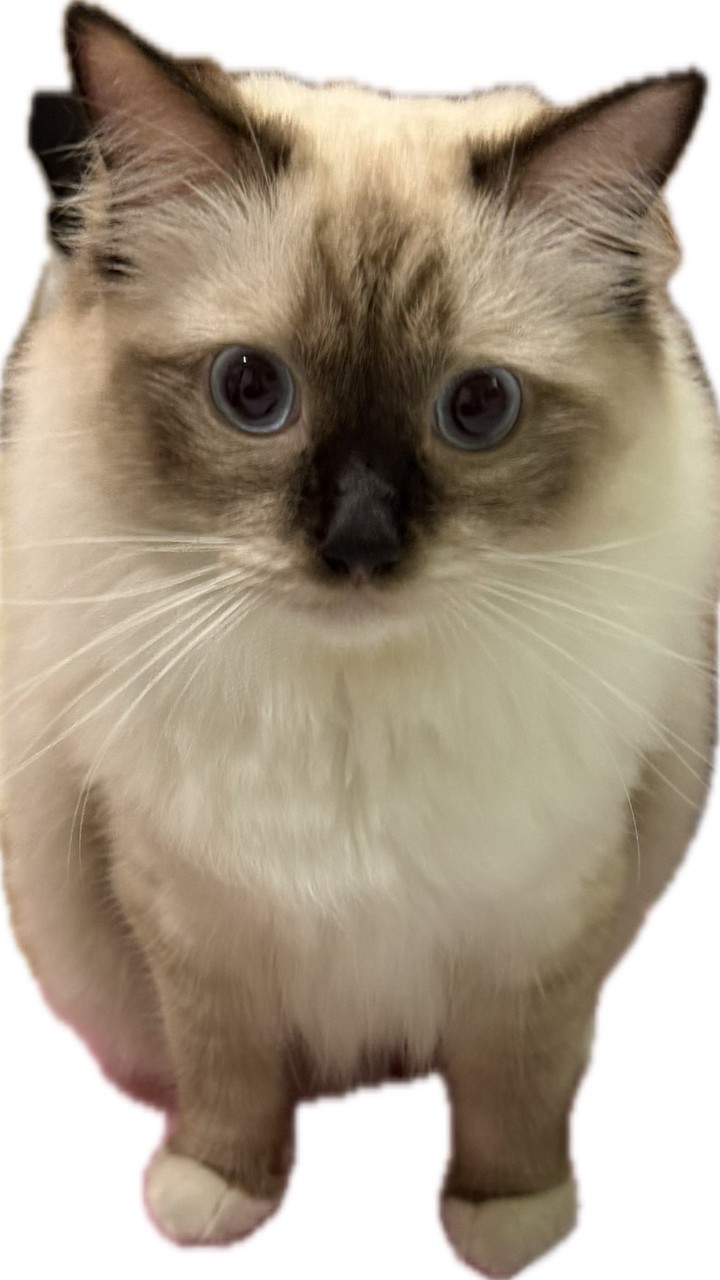 1/30 成功嶺101旅254梯 女友群