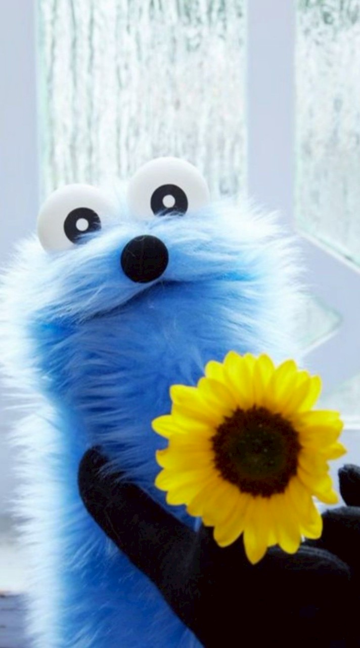 寧々ちゃん限定ー！