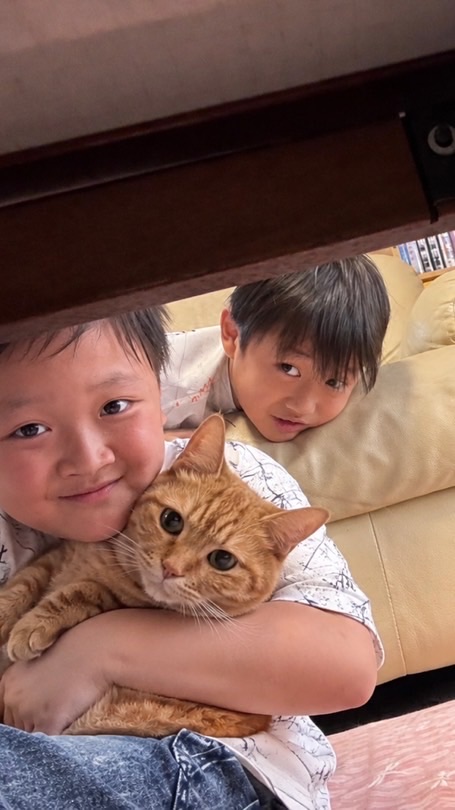 ねこ