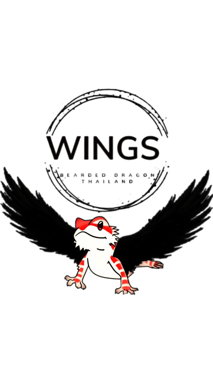 ประมูลมังกรเครา By Wing