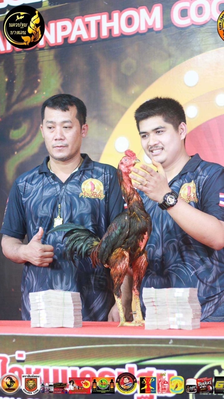 ซุ้มไก่ชน KM 13 นครปฐม(กลุ่ม2)
