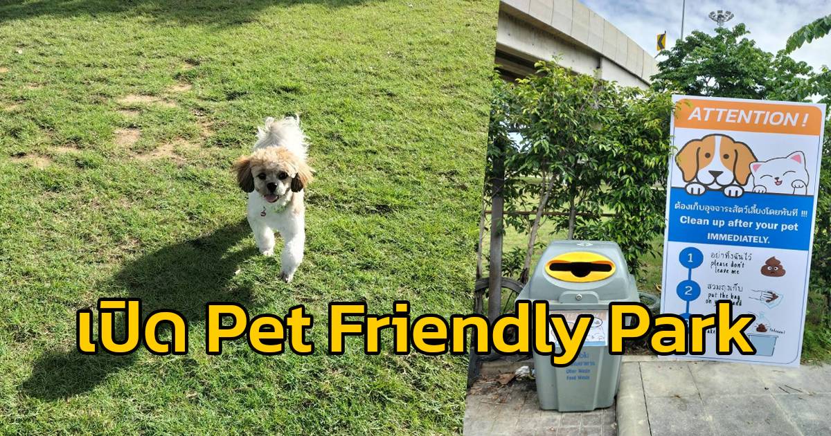 Pet Friendly Park แห่งแรกของกรุงเทพมหานคร เปิดให้บริการแล้ว สวพ.FM91