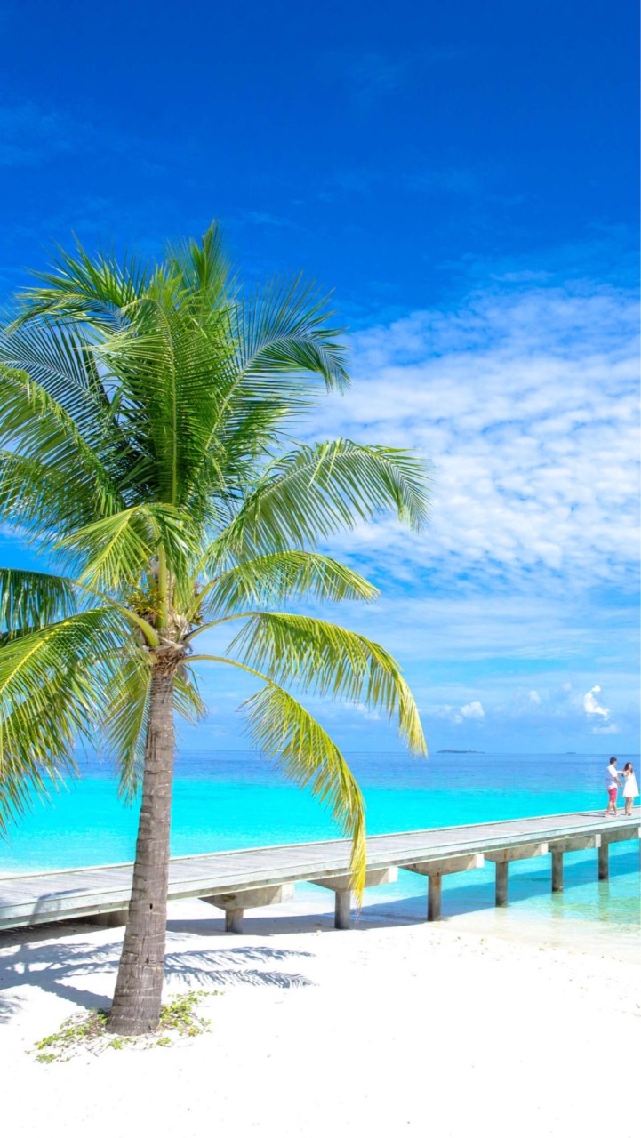 🌴🇫🇯 フィジー /観光/留学/生活 情報所🇫🇯🏝️