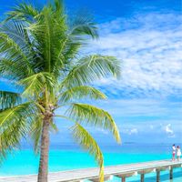 🌴🇫🇯 フィジー /観光/留学/生活 情報所🇫🇯🏝️