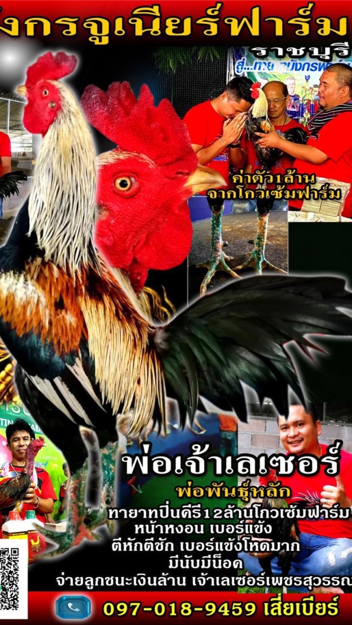 เบียร์ มังกรจูเนียร์ฟาร์ม สังกัดโกว