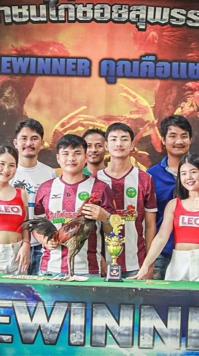 นัทคูเมืองฟาร์ม