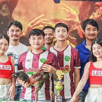 นัทคูเมืองฟาร์ม