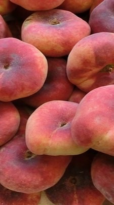 KD技術分析操作分享小教室