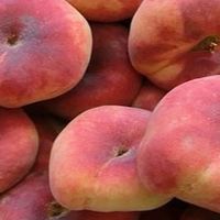KD技術分析操作分享小教室