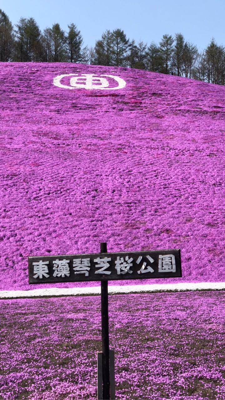 益起go旅遊商城VlP