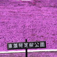 益起go旅遊商城VlP