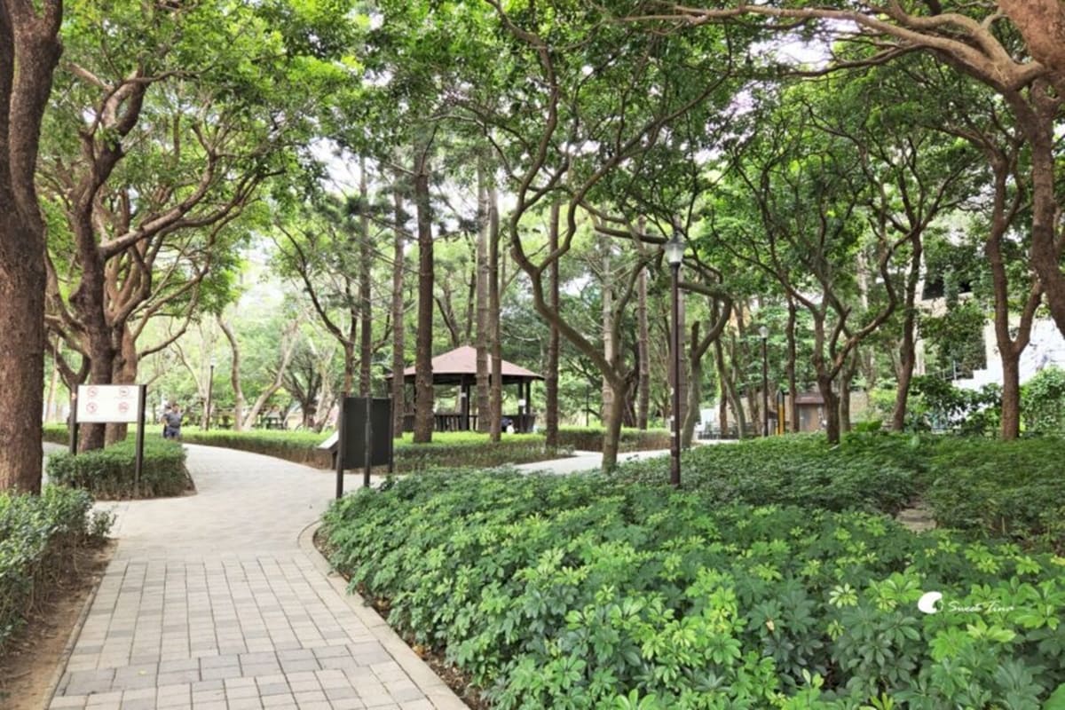 別只去故宮！士林６處「隱藏版景點」快衝：外雙溪祕境、IG暴紅「水中步道」