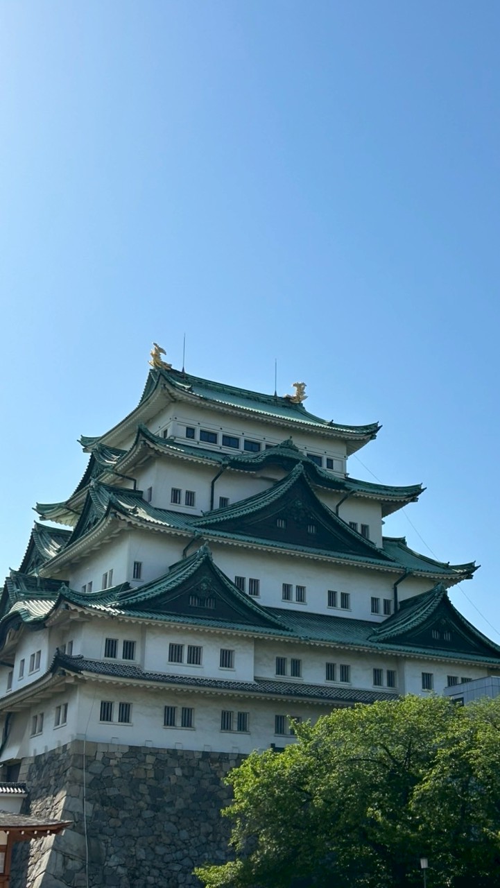 喜鴻文翔旅遊群