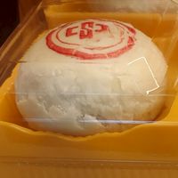 2025的春季鋼好有你