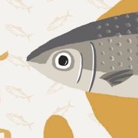 蘭曦玉食熬魚精
