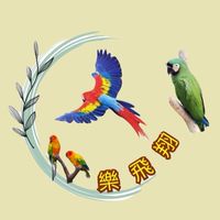 鸚鵡樂飛翔