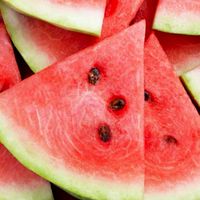 吃瓜大隊🍉＜只聆聽不批評＞
