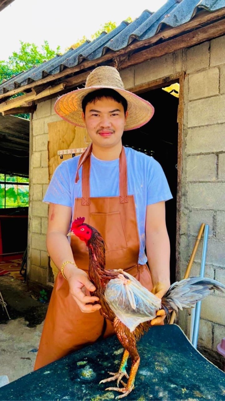 #ที่นี้คือพม่าเหลี่ยมสายหลังบ้าน ❤️💸🐓🌳