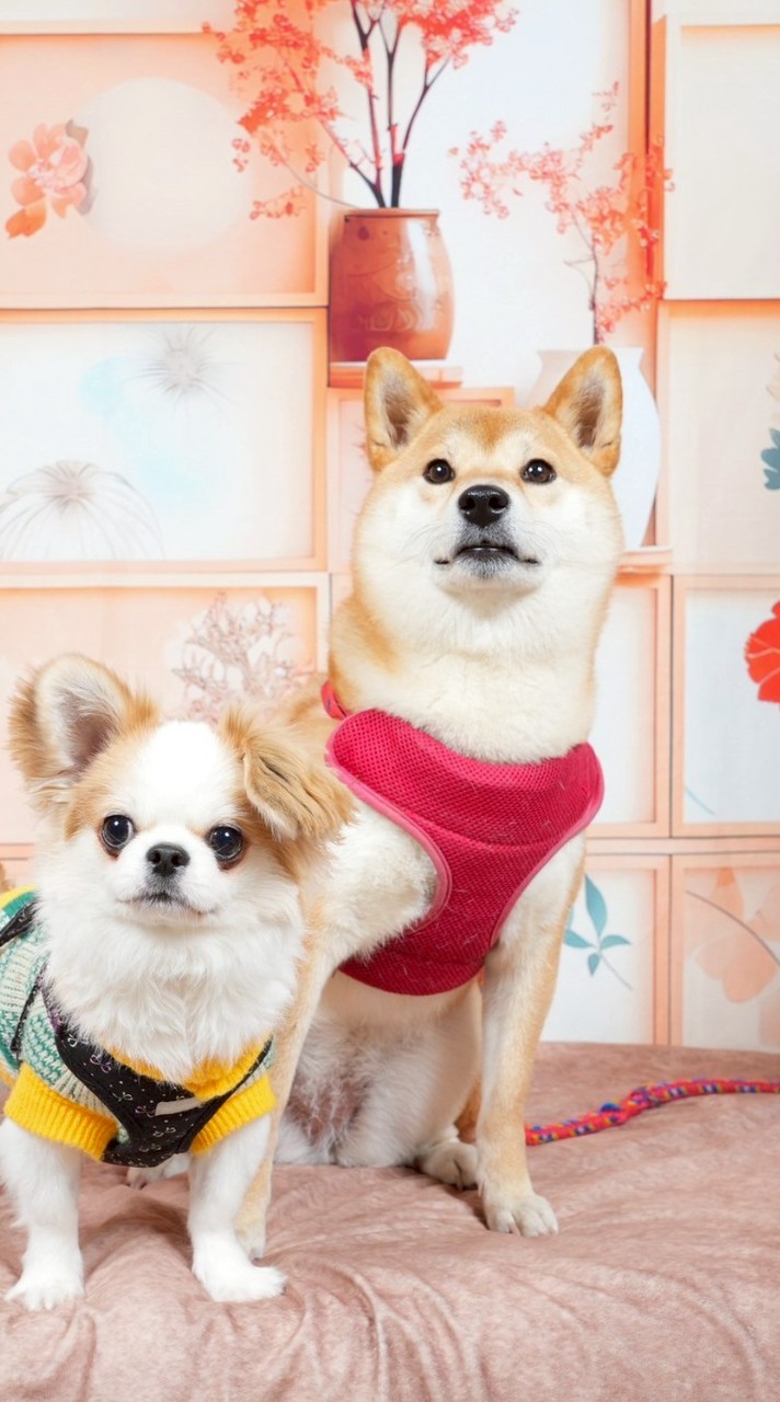 らららいらら子の仲間達