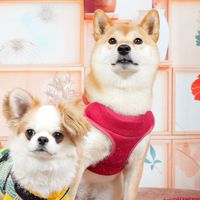 らららいらら子の仲間達