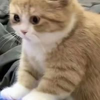 ✧.*ตัวแทน𝚖𝚖