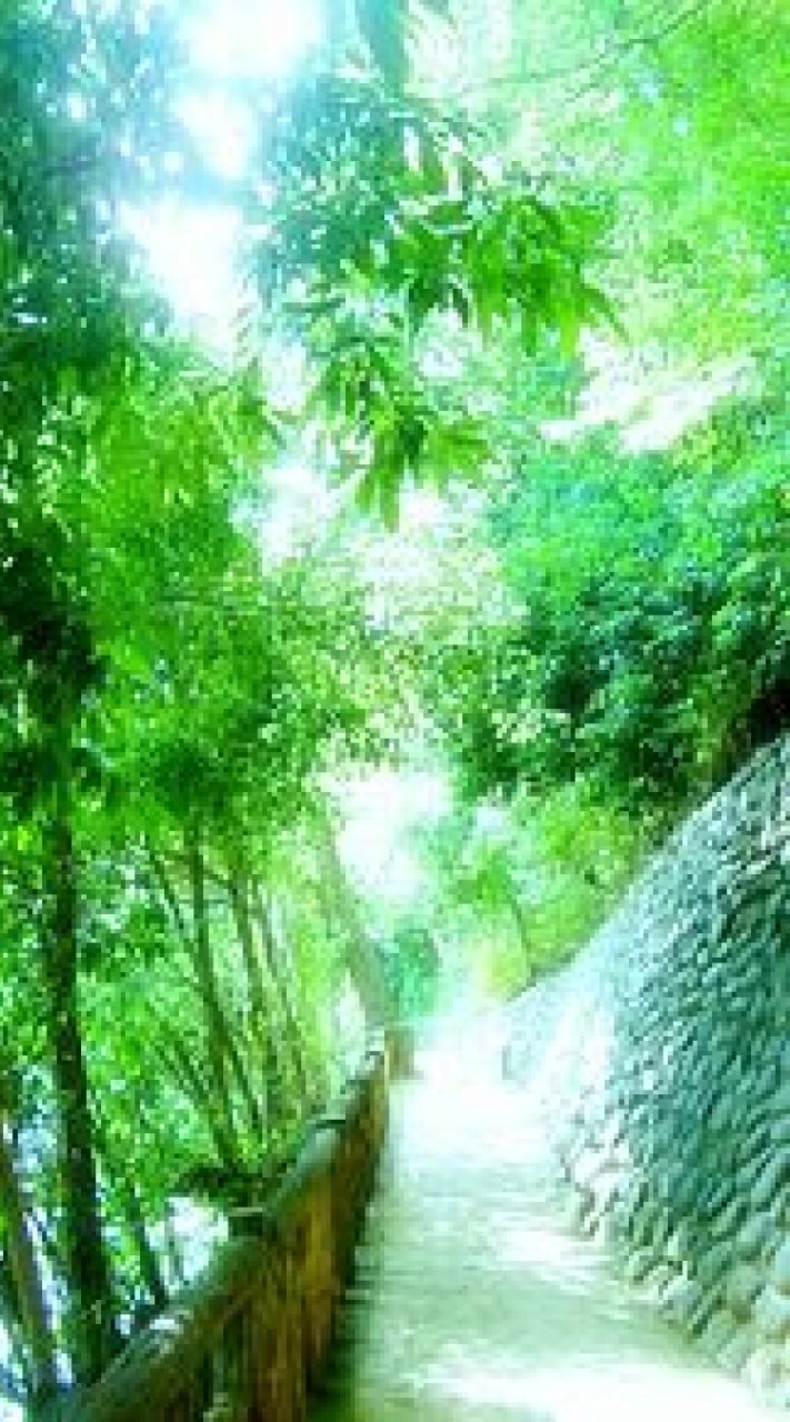 心のきずな