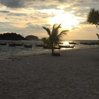 Sea Thai