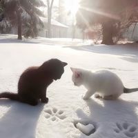 うた好き集まれ ˚*