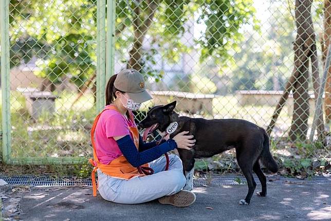 10月4日世界動物日恰逢農曆99重陽節，高雄市動保處將從收容所挑選多隻經訓練的毛小孩，到社會局仁愛之家與長輩互動，盼能溫暖長輩的心，也幫助這些被收容的毛小孩建立起對人類的信賴感。 （高雄市動保處提供） 中央社記者蔡孟妤傳真 111年10月3日  
