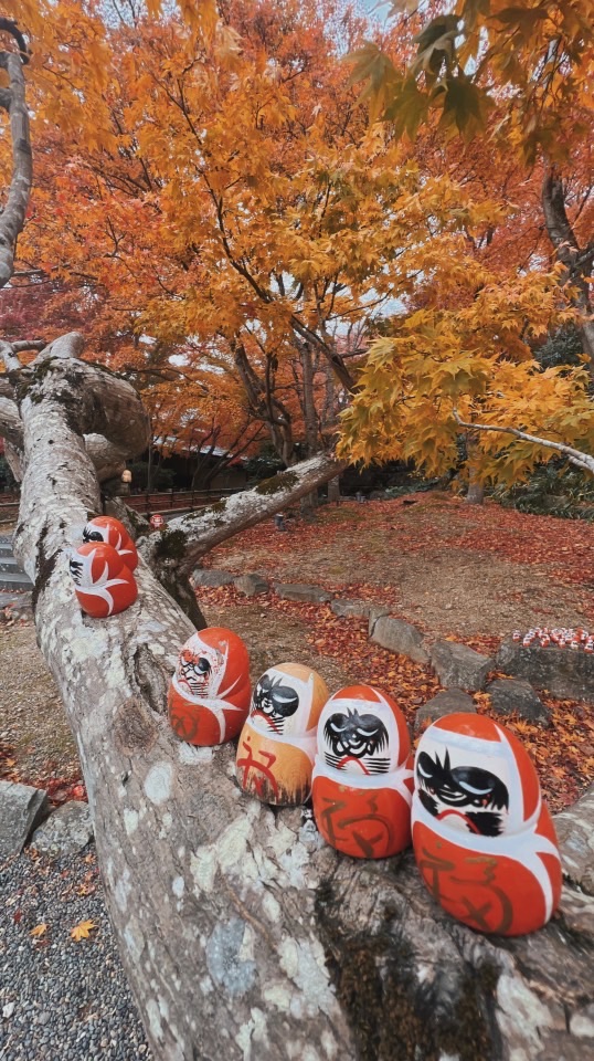 NaiNai定居日本🇯🇵