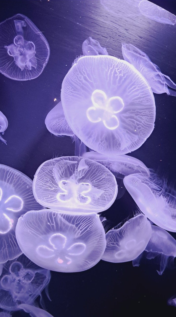 北海道😇大人の日常を綴る部屋😇～20代からの語り部屋～