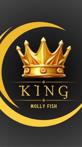 King Molly Fish 👑