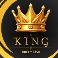 King Molly Fish 👑