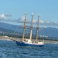 あめがく【歌い手集団】