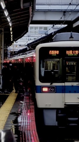【Timetree有り】なんでもスジ共有