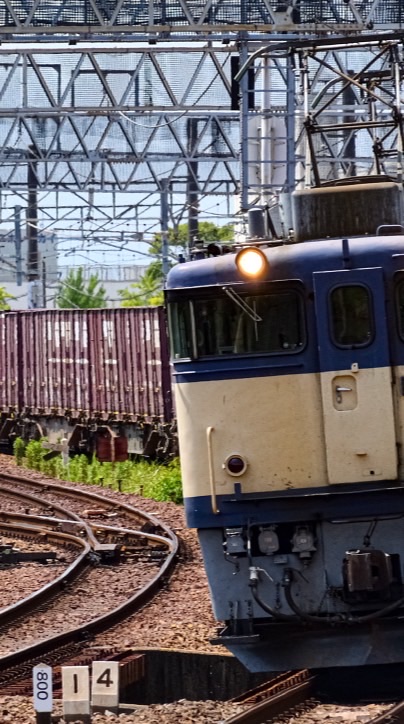 【Timetree有り】なんでもスジ共有