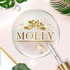 ร้านเครื่องสำอางค์MOLLY โลตัสกระทุ่มแบน  หน้าMK